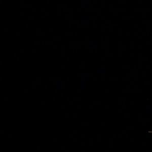 Meet your Posher, Talon